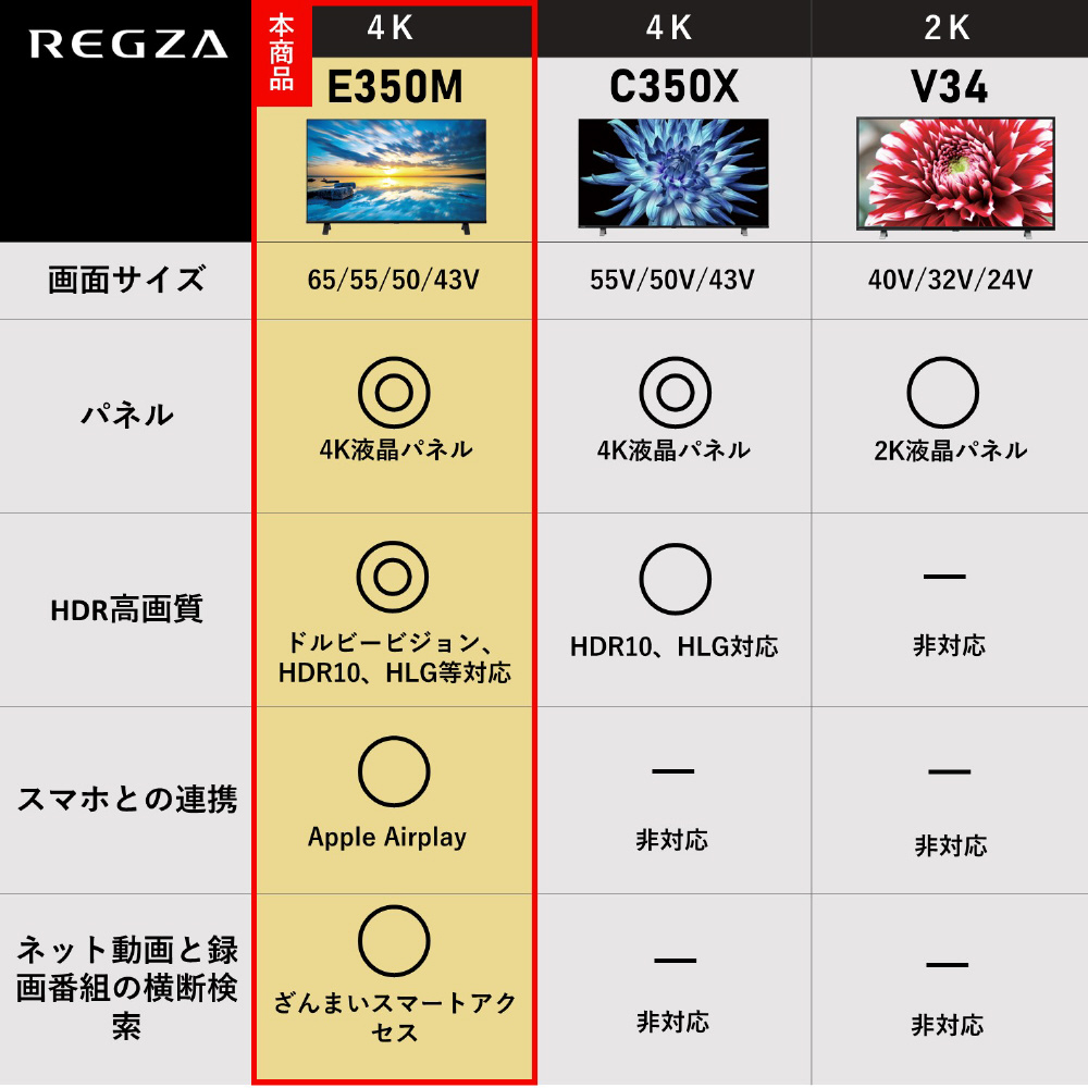 液晶テレビ REGZA(レグザ) 43E350M ［43V型 /Bluetooth対応 /4K対応