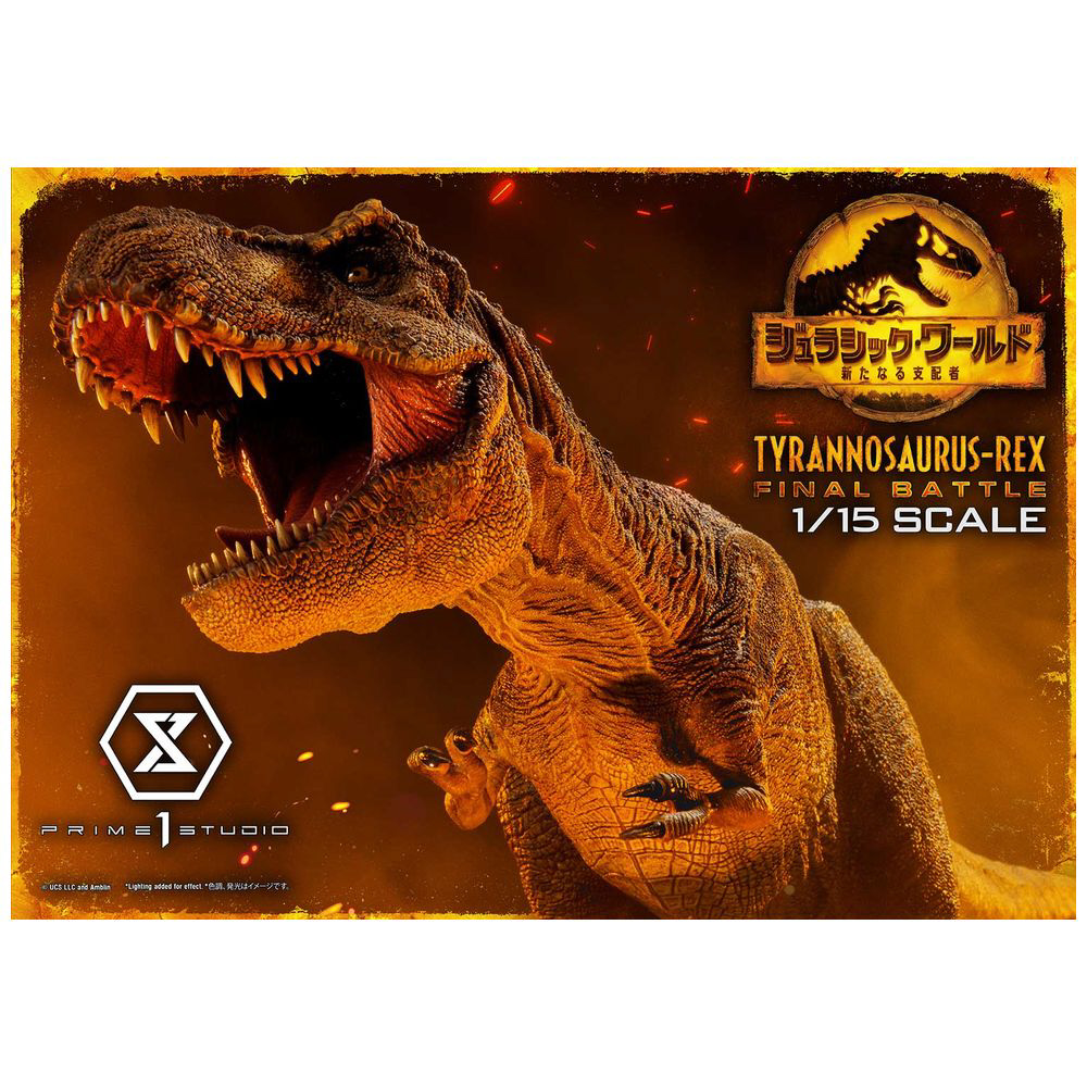 ティラノサウルス・レックスの歯化石 ダークブラウン 約22mm-