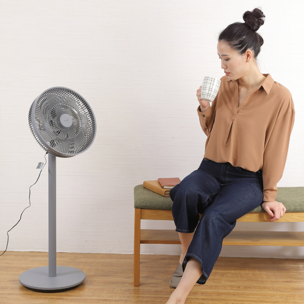 DCリビングサーキュレーターファン SMART AIR DC（スマートエアDC） グレー QS304-GY ［DCモーター搭載 /リモコン付き］