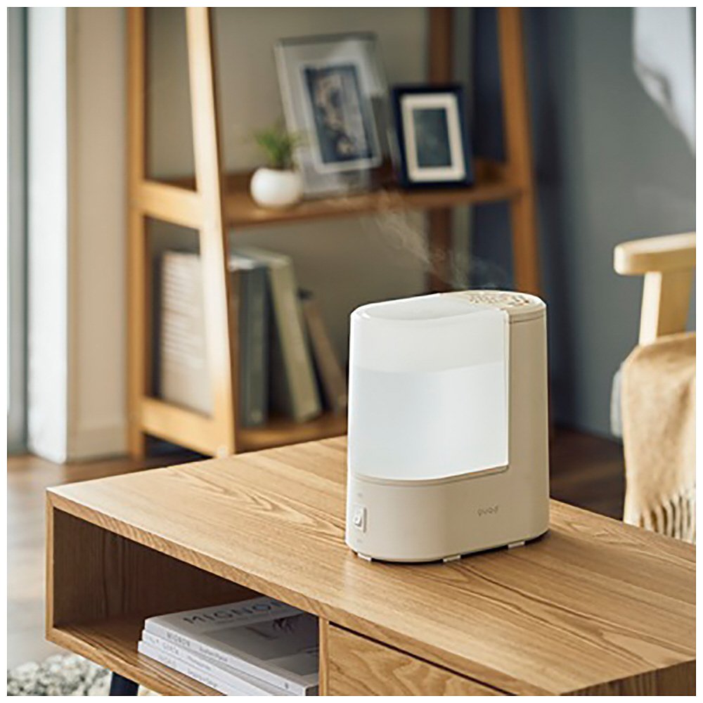 【人気のアイボリー】 QUADS クワッズ　スチーム式加湿器 QS549IV QUADS ガラススチーム加湿器 グラス アイボリー QS549IV M41003 ギフト