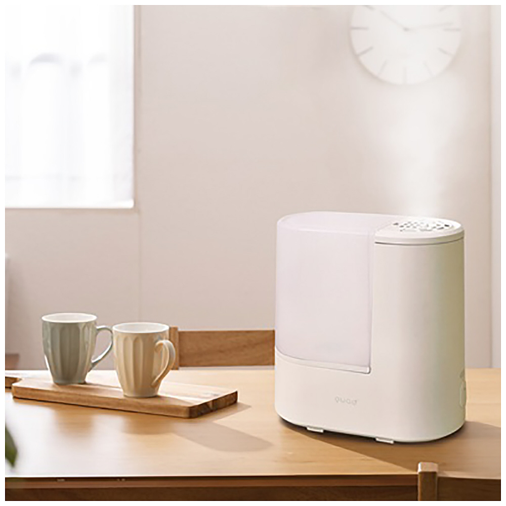 【人気のアイボリー】 QUADS クワッズ　スチーム式加湿器 QS549IV スチーム式加湿器 QUADS アイボリー QS548-IV ［スチーム式］｜の通販