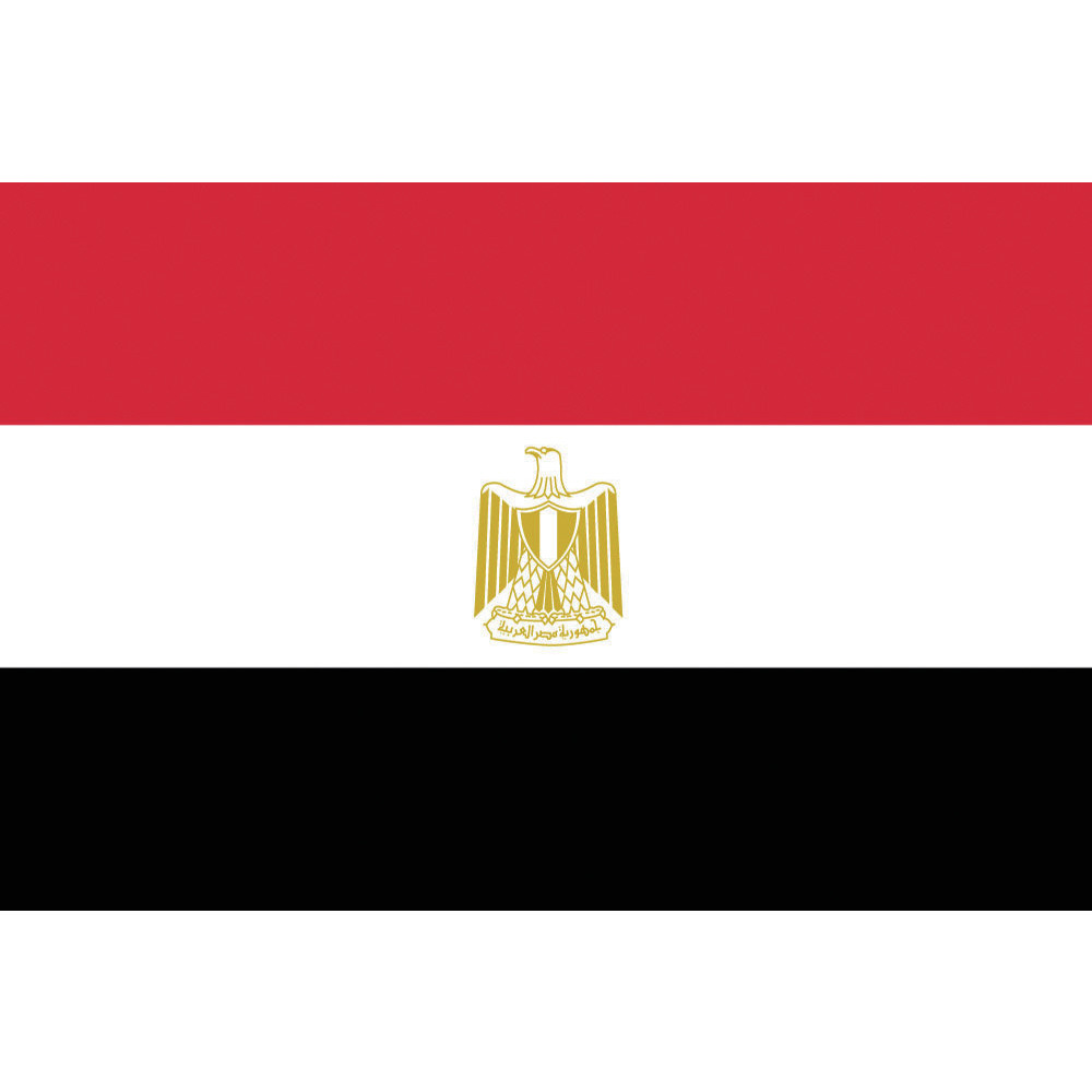 東京製旗 国旗No．1（70×105cm） エジプト・アラブ 416163｜の通販はソフマップ[sofmap]