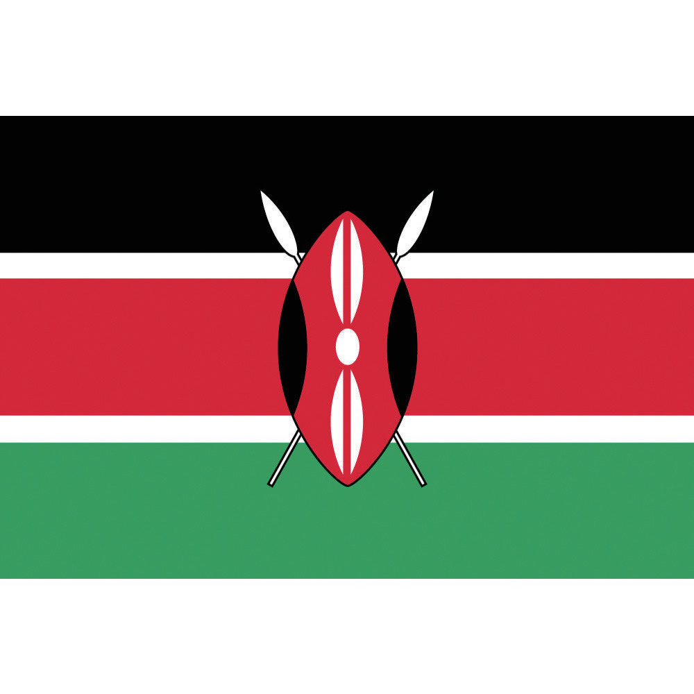 東京製旗 国旗No．1（70×105cm） ケニア 416261｜の通販はソフマップ[sofmap]