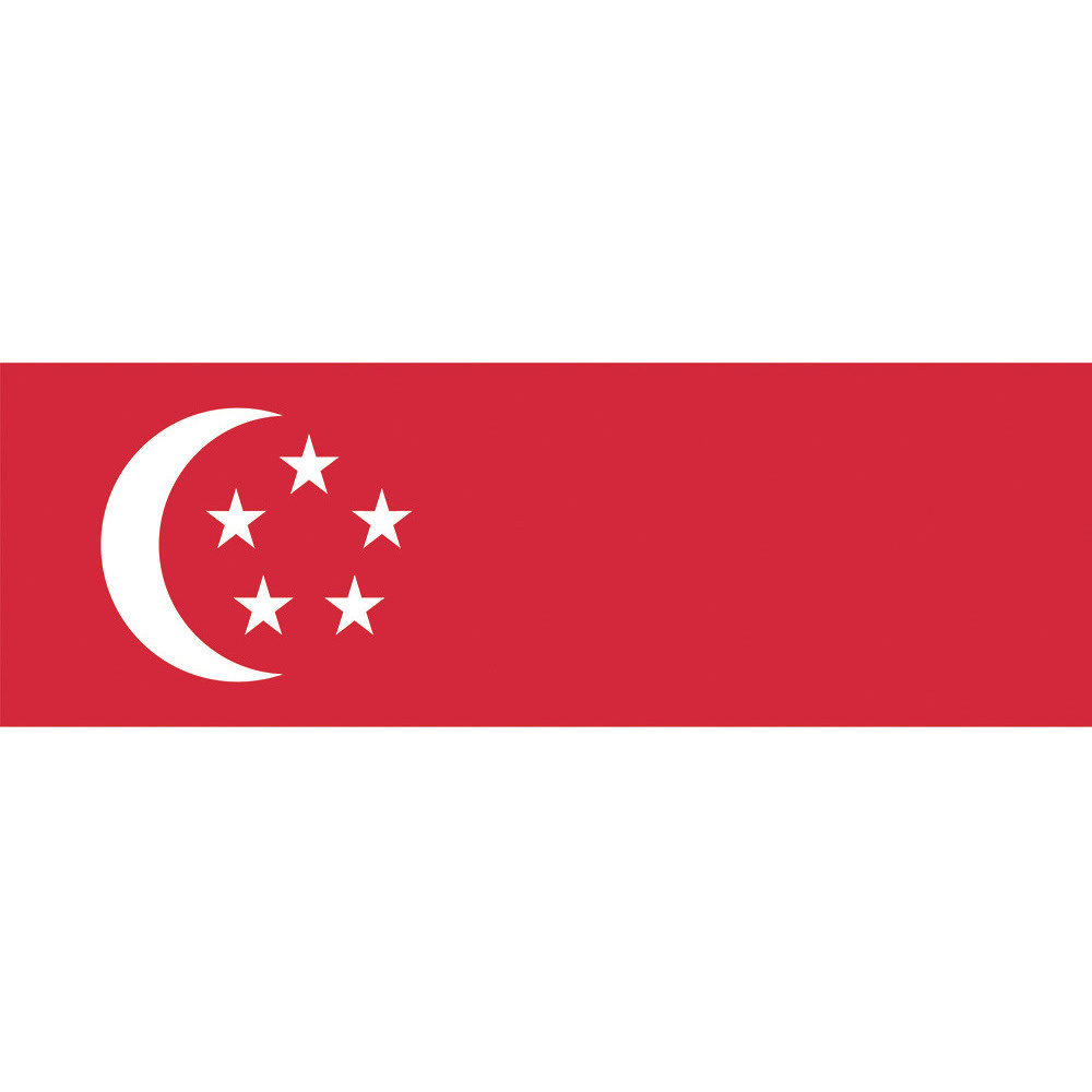 東京製旗 国旗No．1（70×105cm） シンガポ－ル 416326｜の通販はソフマップ[sofmap]