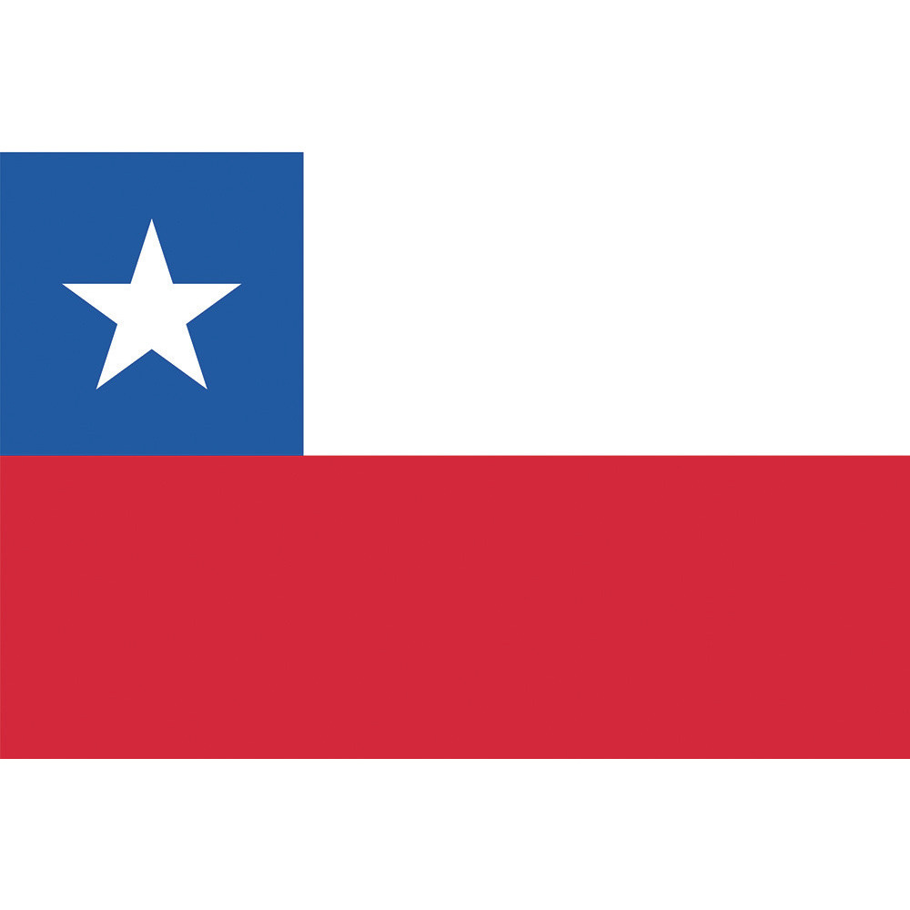 東京製旗 国旗No．1（70×105cm） チリ 416427｜の通販はソフマップ[sofmap]