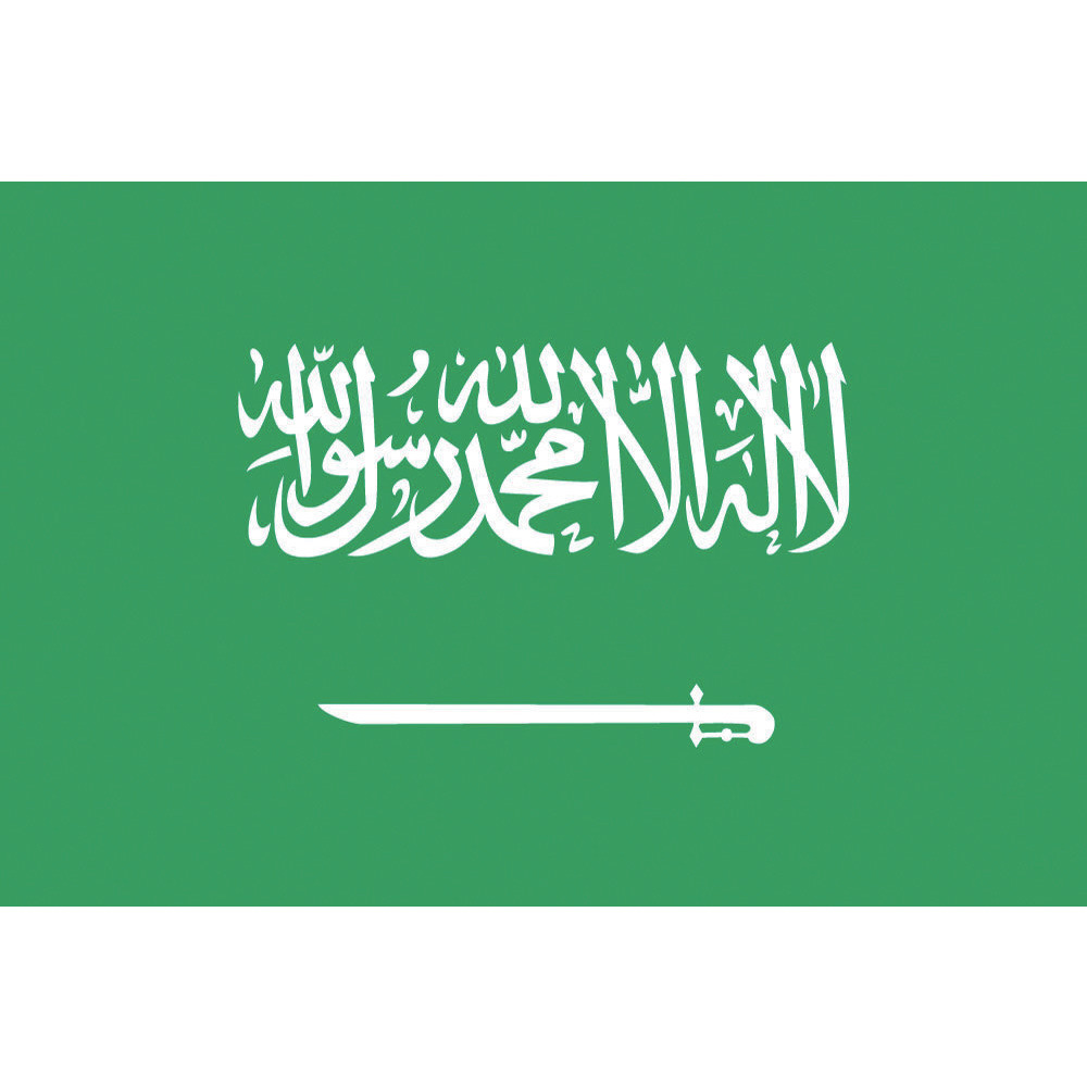 東京製旗 国旗No．2（90×135cm） サウジアラビア 426302｜の通販はソフマップ[sofmap]