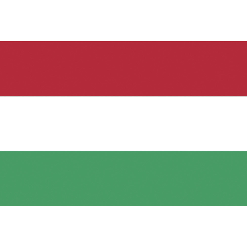 東京製旗 国旗No．2（90×135cm） ハンガリー｜の通販はソフマップ[sofmap]