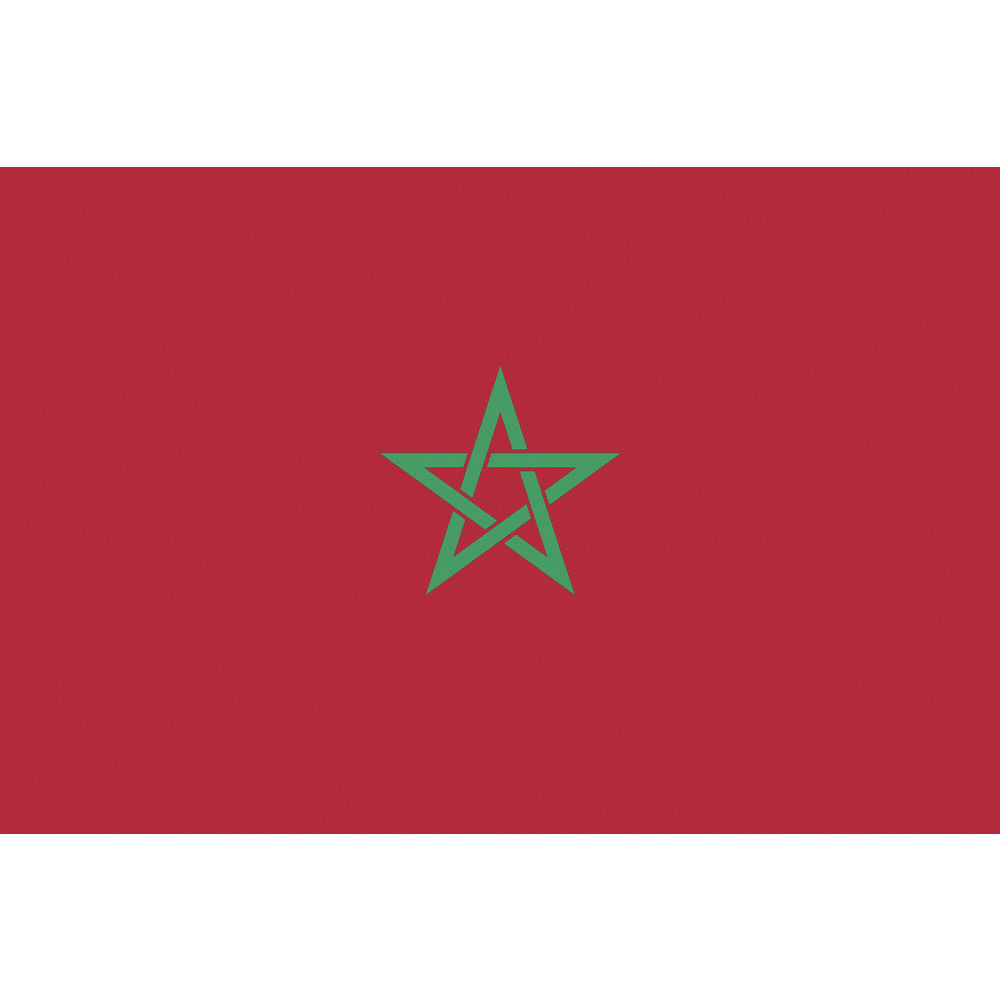 東京製旗 国旗No．2（90×135cm） モロッコ 426786｜の通販はソフマップ[sofmap]