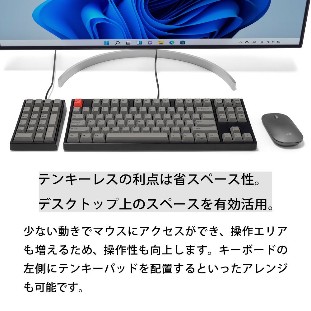 キーボード Maestro TKL(青軸・英語配列)(Mac/Windows11対応) AS キーボード Maestro TKL(青軸・英語配列)(Mac/Windows11対応) AS
