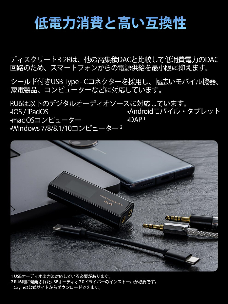 Cayin RU6 R2R USB ポータブル ヘッドホンアンプ カイン（Cayin RU6 