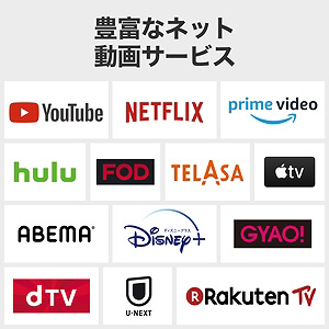 液晶テレビ P735シリーズ 75P735 ［75V型 /4K対応 /BS・CS 4Kチューナー内蔵  /YouTube対応］｜の通販はソフマップ[sofmap]