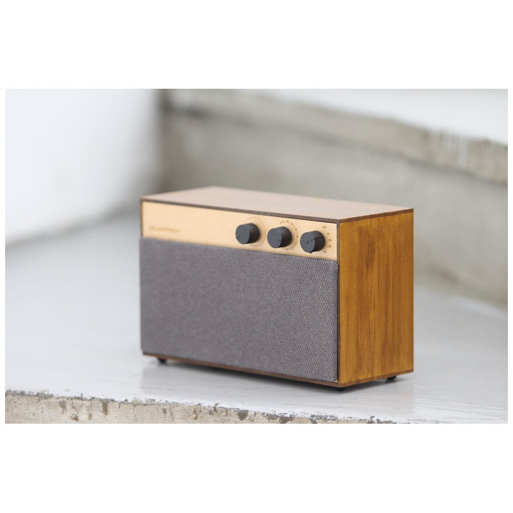 未使用】CELIA＆PERAHウッディ DIYスピーカーBluetooth対応 スピーカー