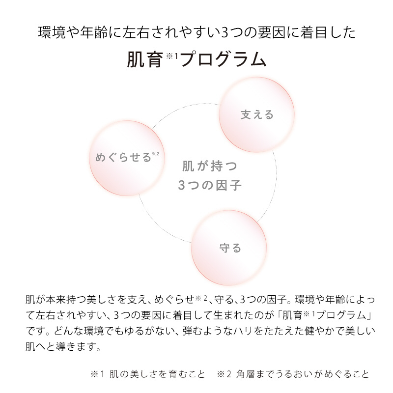 MTG 美顔器 ReFa BEAUTECH RAISE リファビューテックレイズ MTG 美顔器 ReFa BEAUTECH RAISE リファビューテックレイズ
