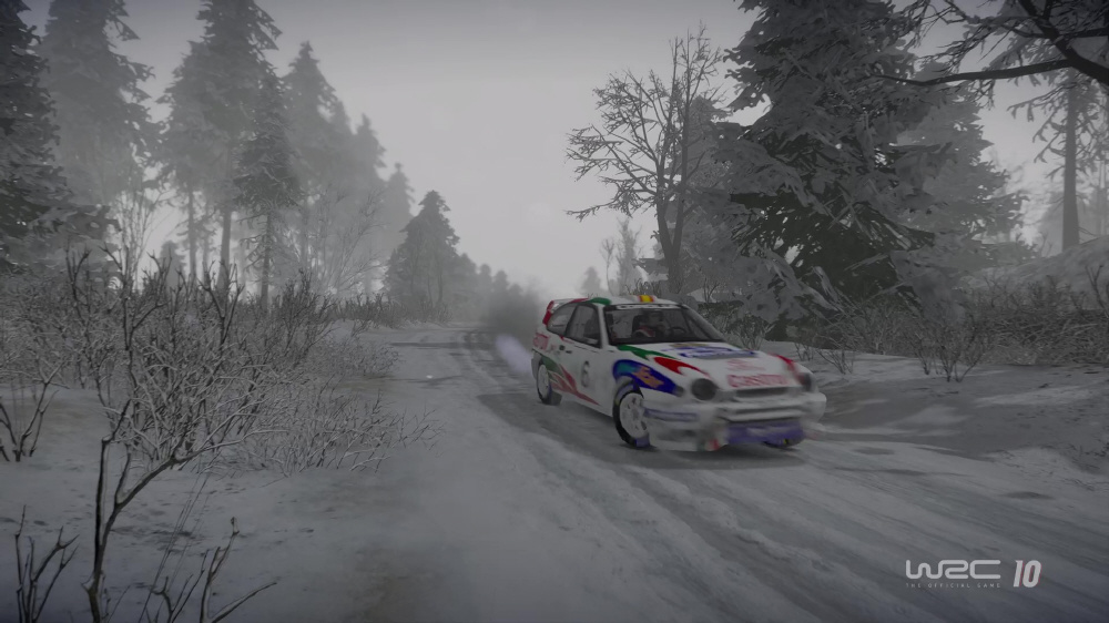 WRC 10 FIA 世界ラリー選手権 【PS4ゲームソフト】_6
