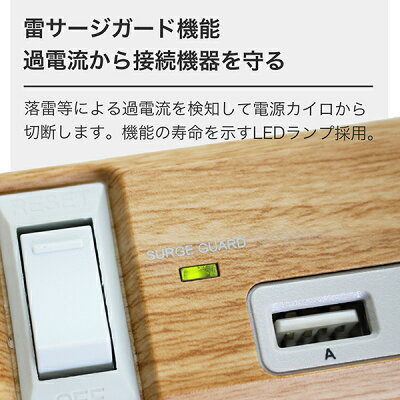 TAPKING USB AC6個口 4.8A USB4ポート ベージュウッド PT605BEWD ［1.8