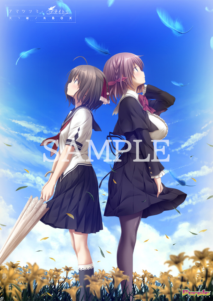 ソフマップ有償特典付き アマツツミ＋アオイトリ 天つ籠ノ鳥BOX｜の