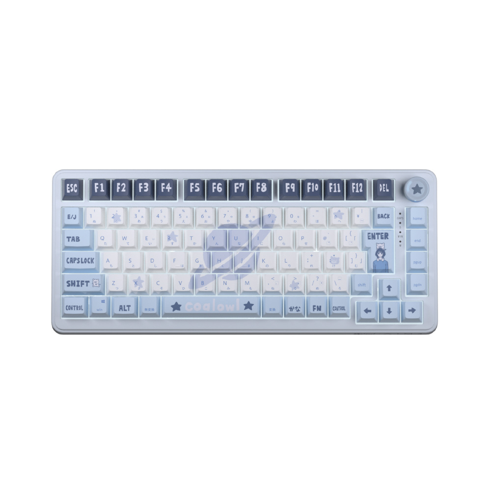 ゲーミングキーボード(ラピッドトリガー対応) coalowl x AIM1 瞬