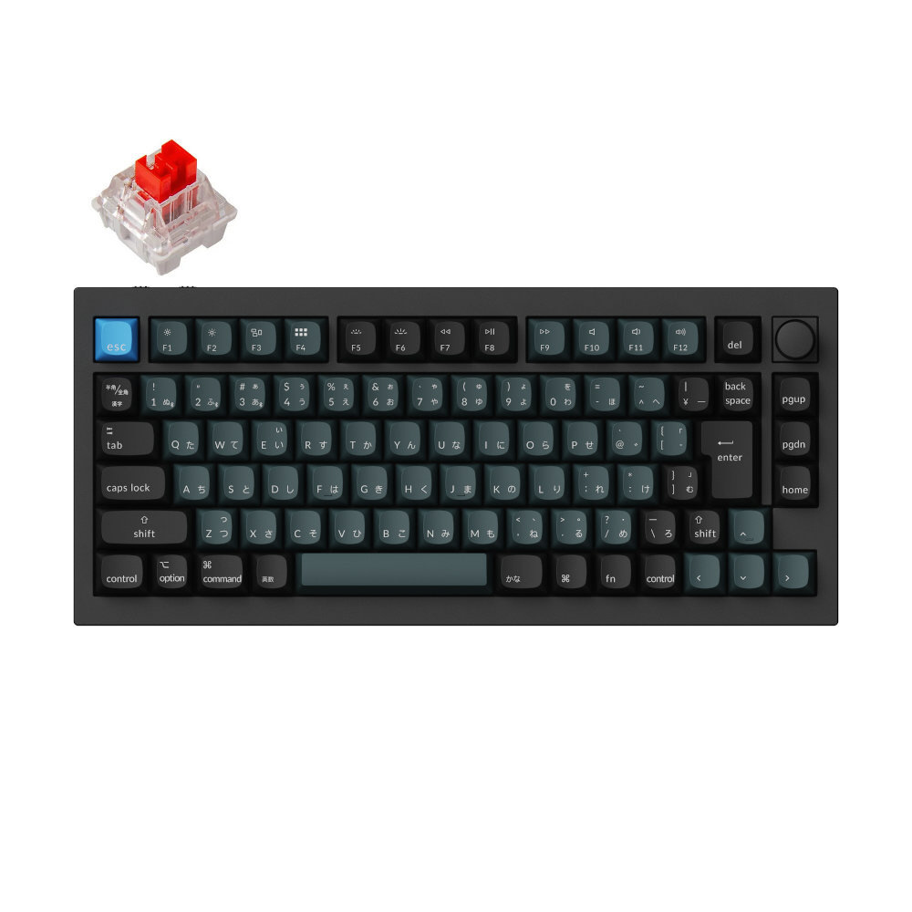 キーボード Q1 Pro RGBライト(赤軸) カーボンブラック Q1P-M1-JIS