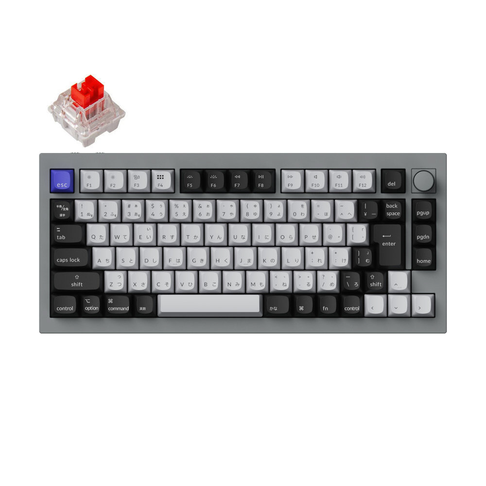 キーボード Q1 Pro RGBライト(赤軸) シルバーグレー Q1P-N1-JIS ［有線