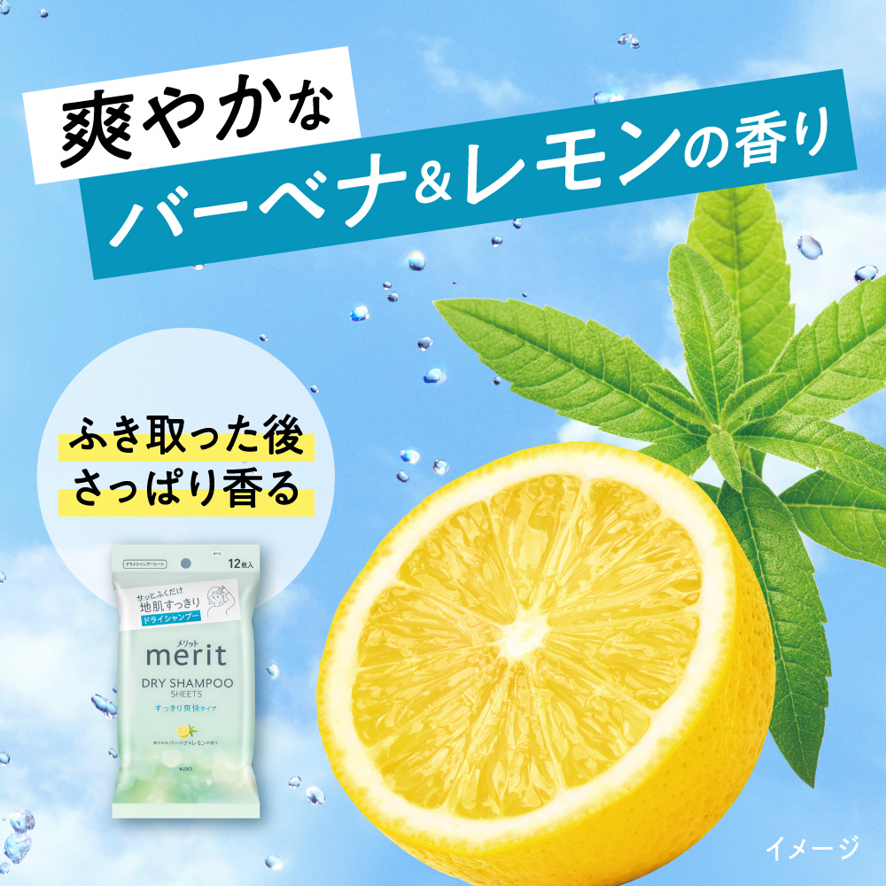 merit メリットDAY＋ ドライシャンプーシート 12枚入｜の通販は