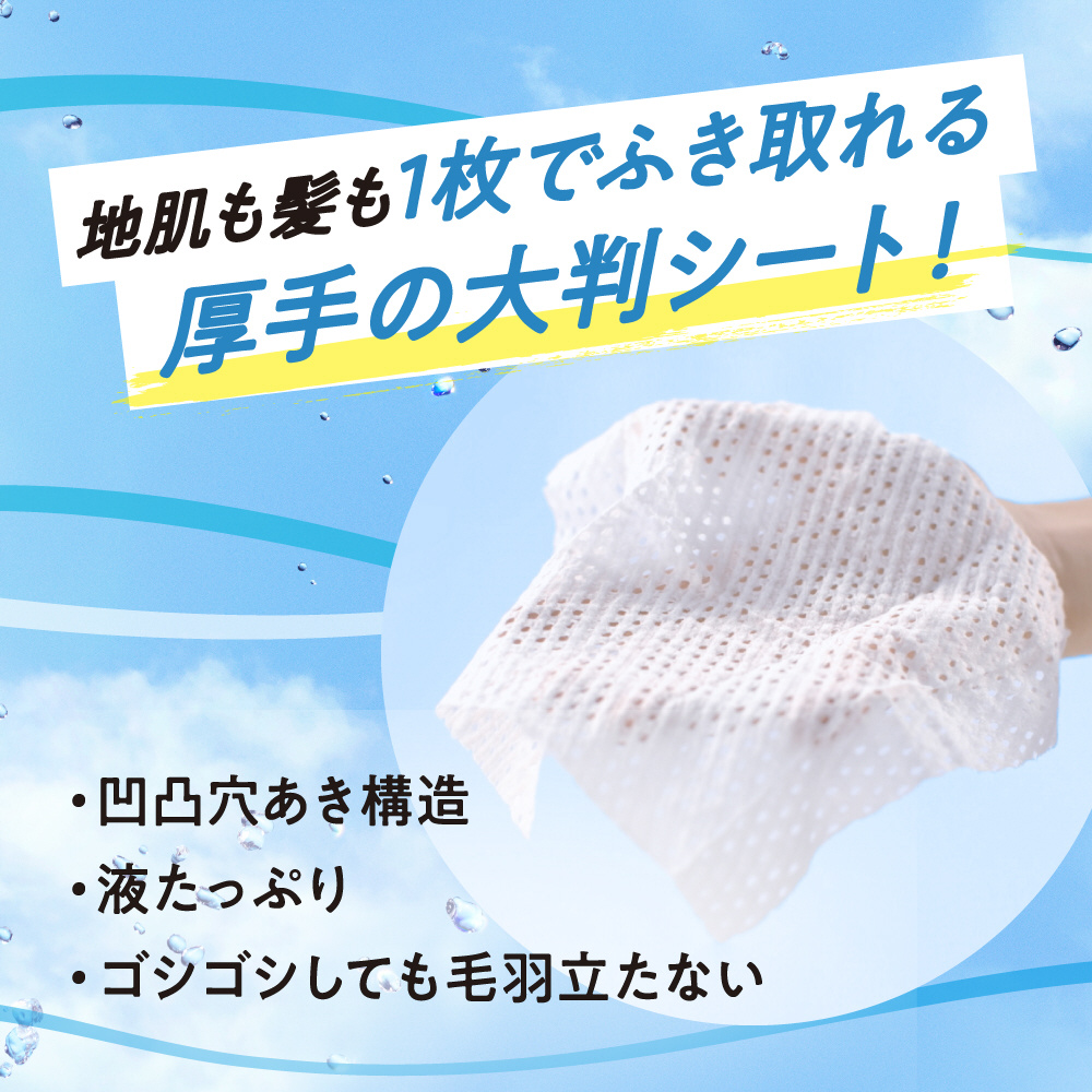 merit DAY+ ドライシャンプー 130g 24本セット メリットDAY+ ドライシャンプー ( 130g )/ メリット : 爽快
