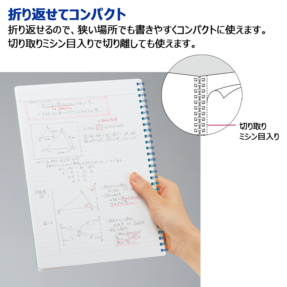 ソフトリングノート シーアストーン 限定色 Campus(キャンパス) ペール