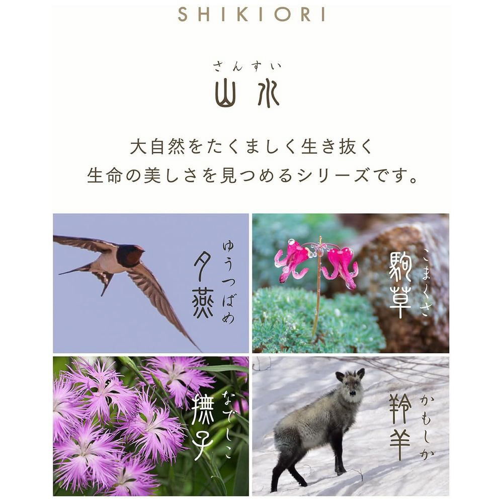 万年筆 中細(MF) SHIKIORI-四季織-山水 夕燕 11-2050-301｜の通販は