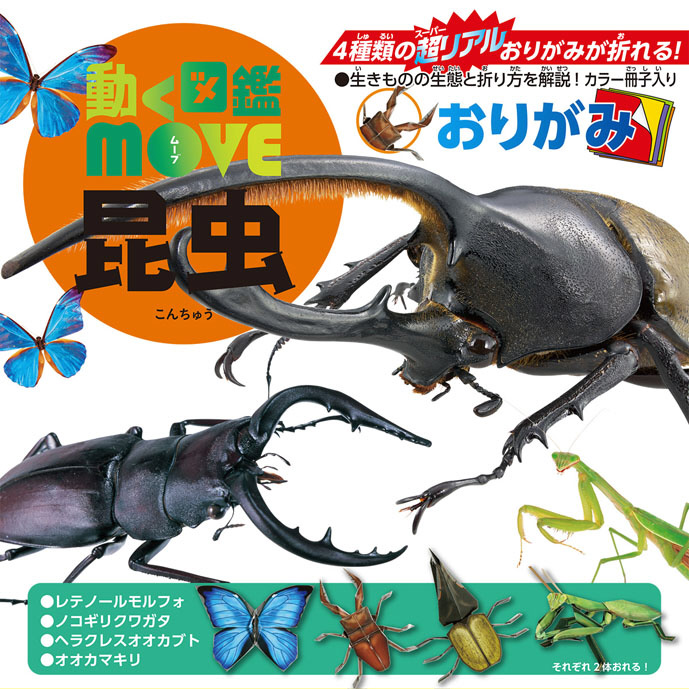 I7 ランチマット 昆虫 カブトムシ 30×40