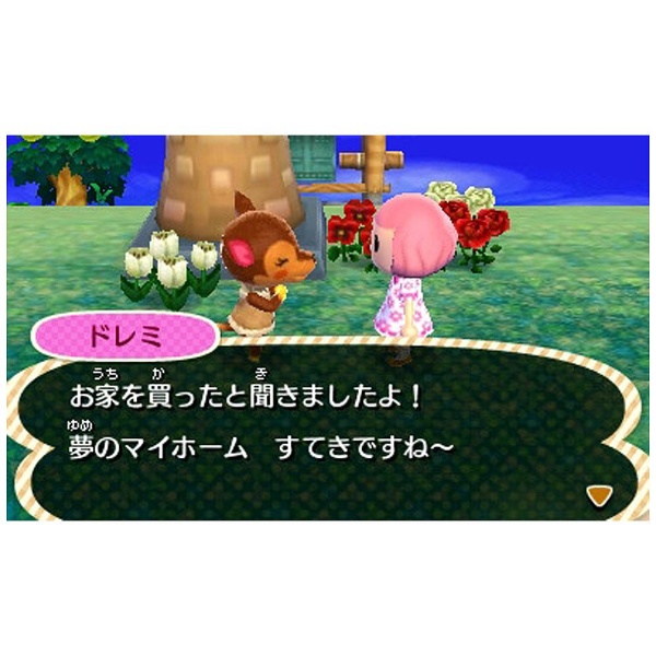 とびだせ どうぶつの森 【3DSゲームソフト】|Nintendo(任天堂)