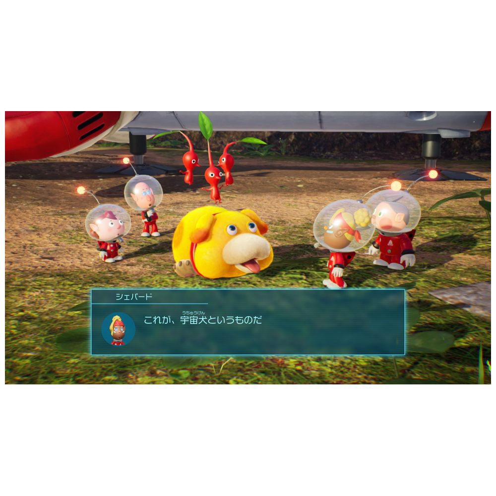 Pikmin 4 【Switchゲームソフト】【864】_6