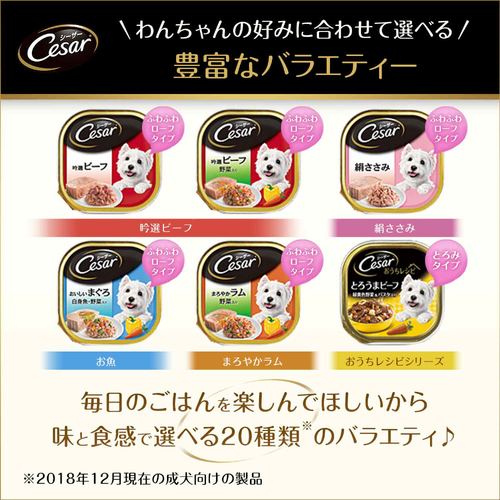 シーザー 11歳からの 吟選ビーフ&ラム 玄米・野菜入り 100g