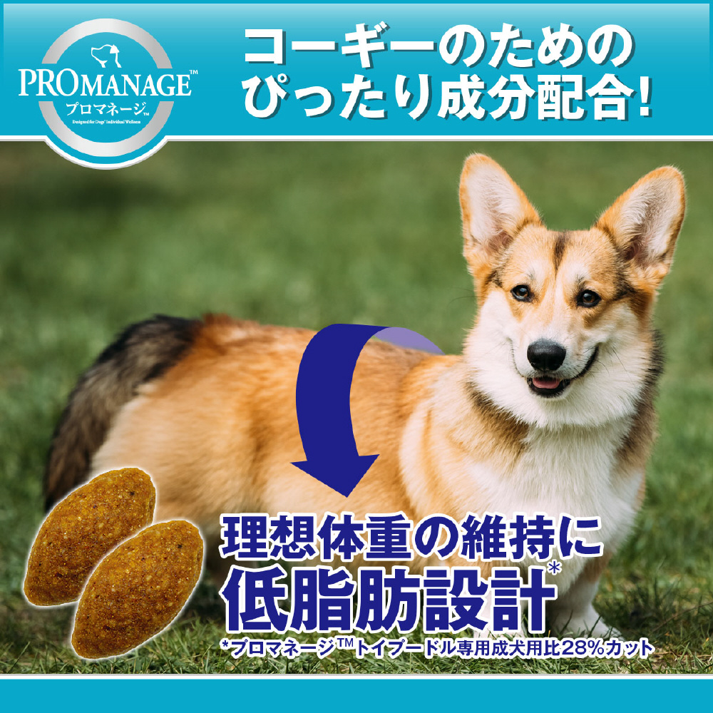 プロマネージ 成犬用 ウェルシュ コーギー専用 1 7kg の通販はソフマップ Sofmap