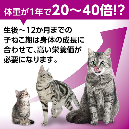 KWP75 カルカン パウチ 12ヵ月までの子ねこ用 お魚ミックス