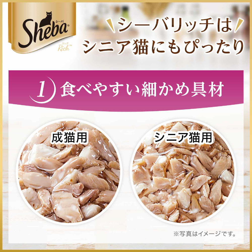 シーバリッチごちそうフレーク シーバアミューズお魚の贅沢スープ