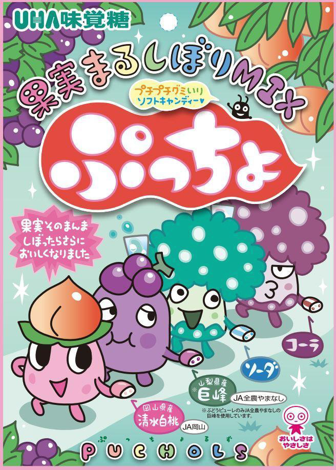 ぷっちょ袋 4種アソート 88g｜の通販はソフマップ[sofmap]