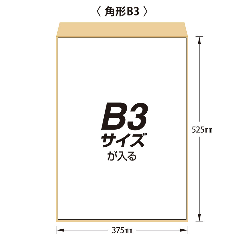 フジツボパック 角B3 100g PKB031｜の通販はソフマップ[sofmap]