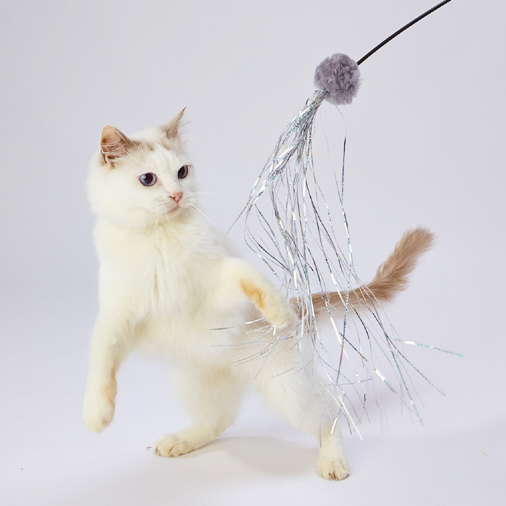 じゃれねこチャンとスケボーキーホルダートラネコ