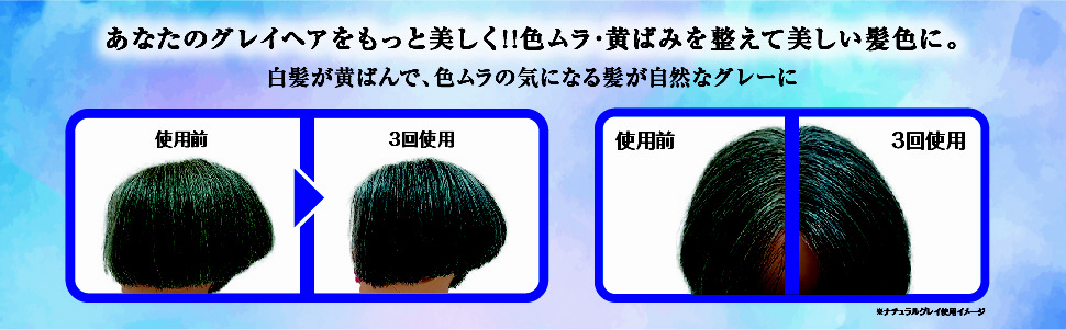 ダリヤ 銀艶 コンディショナー ＜ナチュラルグレイ＞ 180g〔白髪染め〕