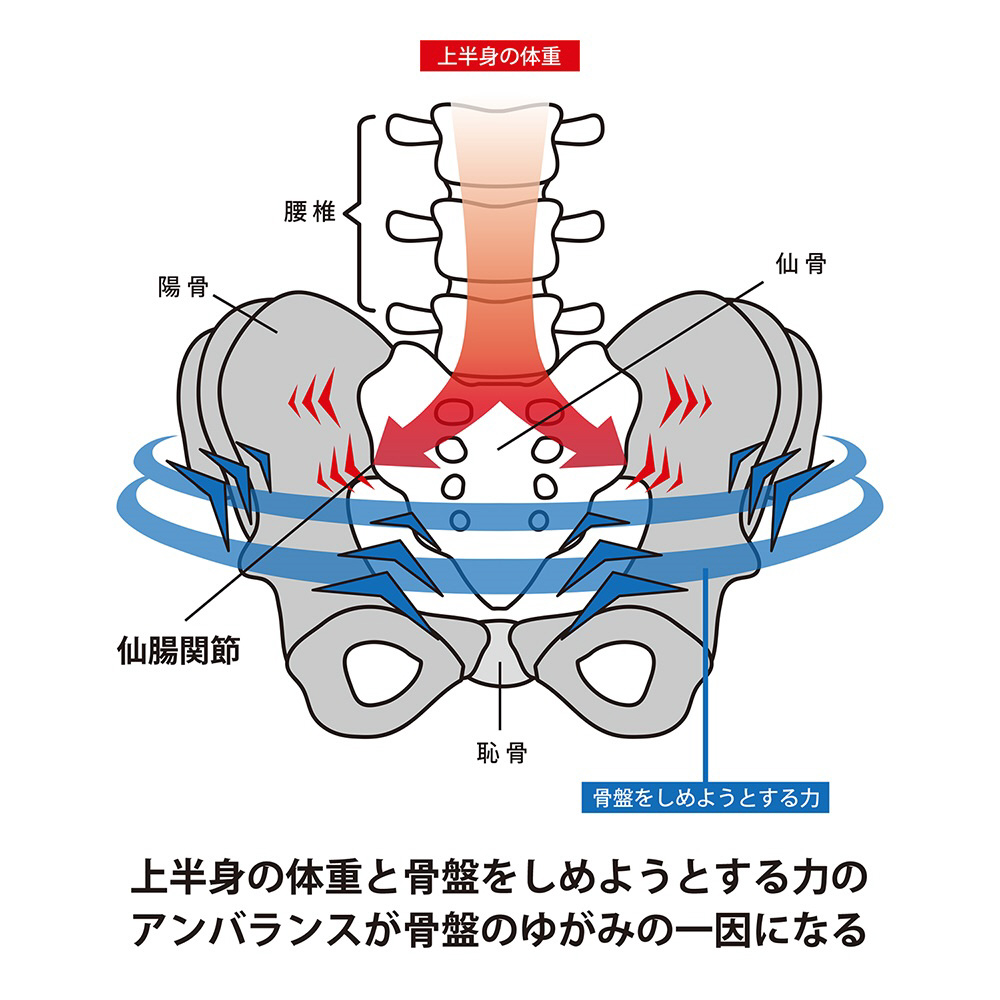 山田式 骨盤ストロングベルト LL｜の通販はソフマップ[sofmap]