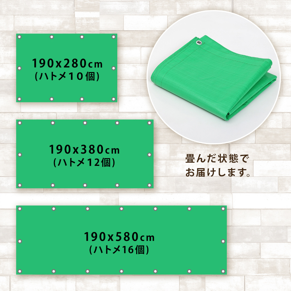 専用 再利用可能フィルム グリーン ファイブスター 505-19 ハトメ付きグリーンシート 190×580cm｜の通販はソフマップ[sofmap]