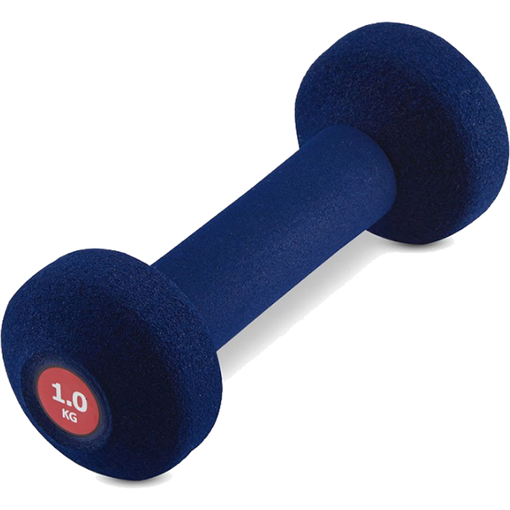 ソフトグリップダンベル リラクシングワーク 1 0kg ダンベルの通販はソフマップ Sofmap