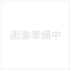 Berryz工房/Berryz工房 フェスティバル〜ようこそ雄叫びランドへ〜 【DVD】   ［DVD］