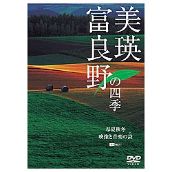 VtHXgDVDFlExǖ̎lG tďH~EfƉy̎ij