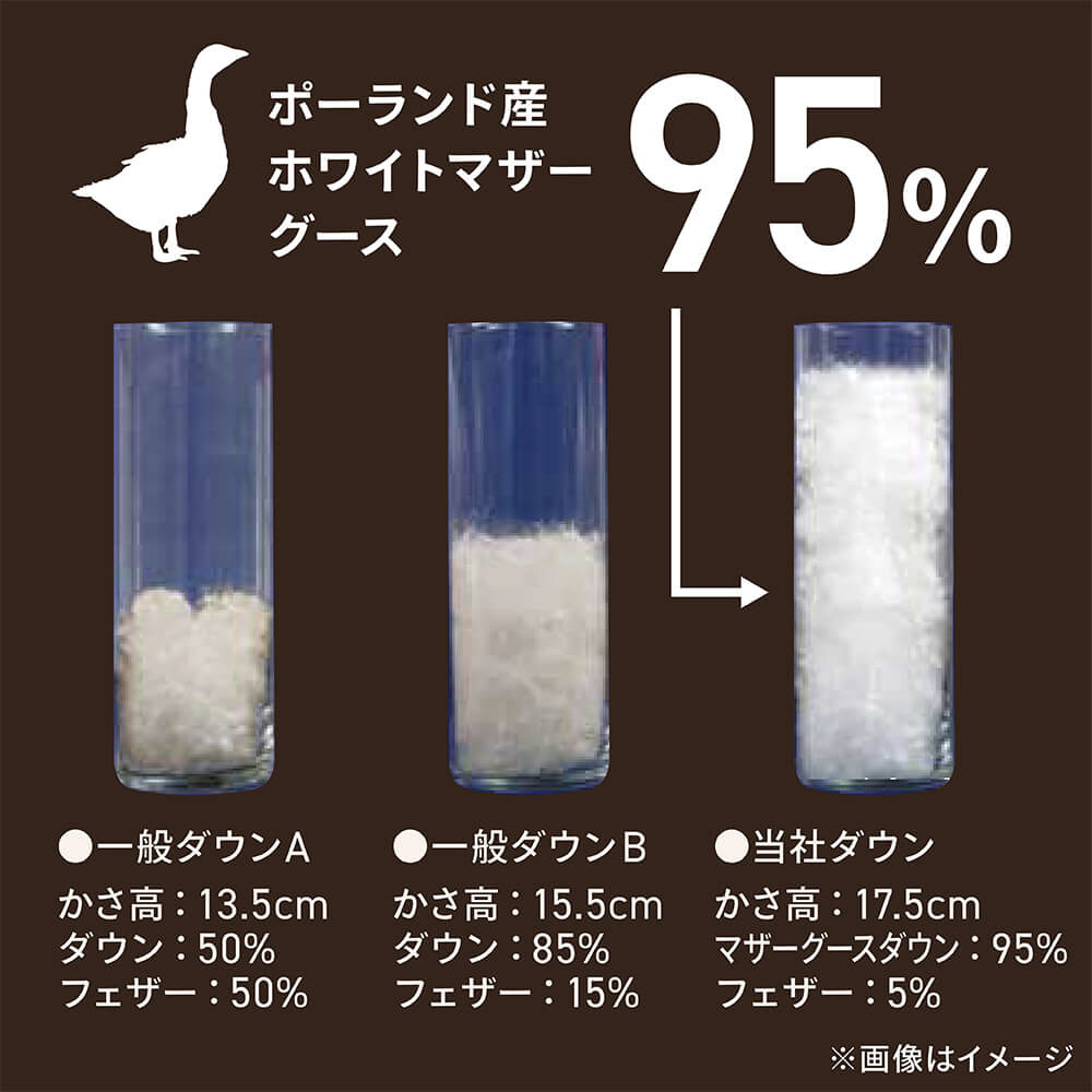 高品質ポーランド産 ホワイトマザーグースダウン95％ 生毛(うもう