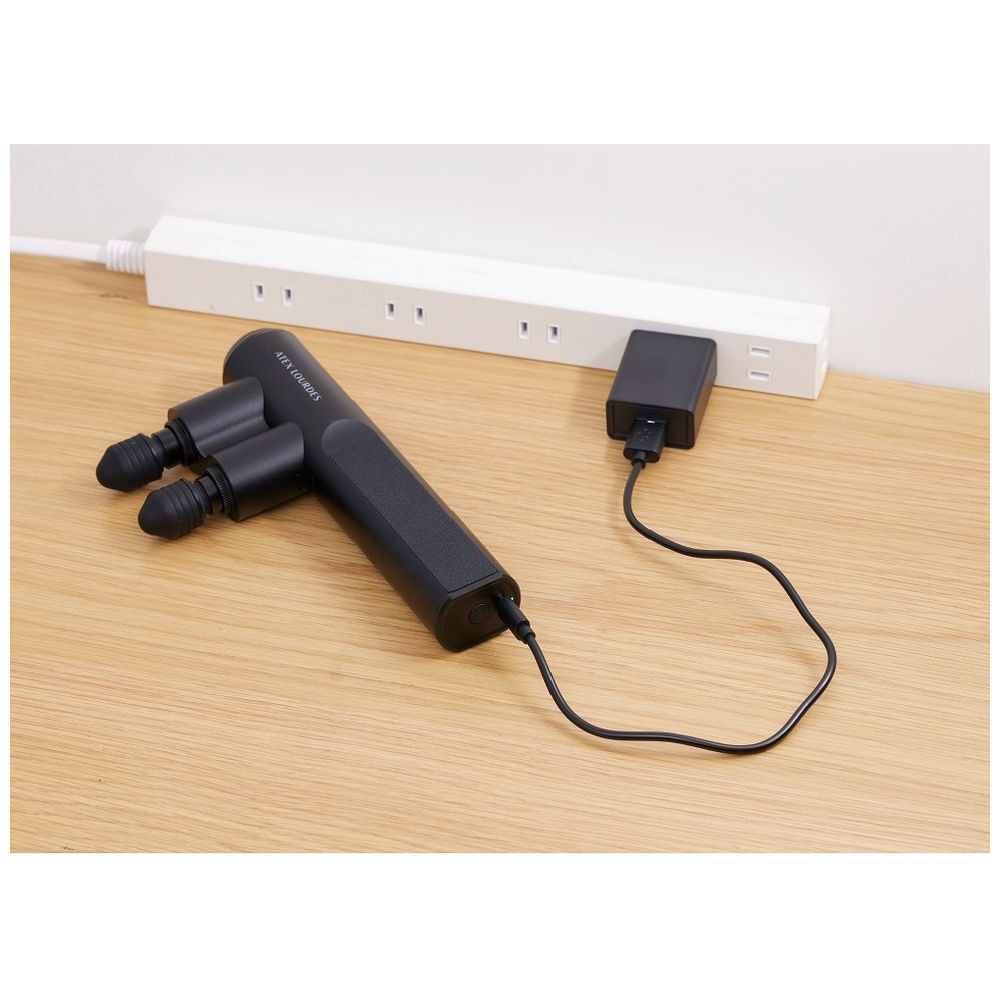 ルルドガン クアトロ｜の通販はソフマップ[sofmap]