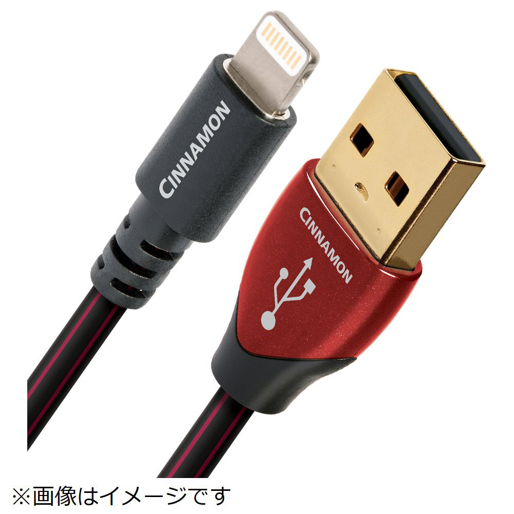 USBケーブル オーディオクエスト USB2/CIN/0.75M/LG｜の通販は