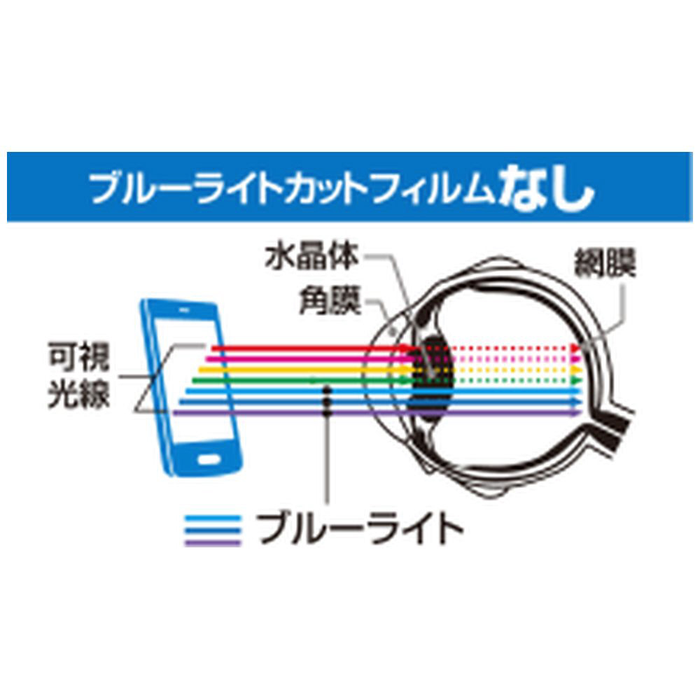 【受注生産品】 iPad Pro 光沢 フィルム 9.7インチ ブルーライト