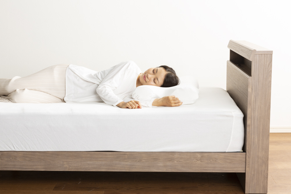 フランスベッド ウミガメピロー 1個 - 枕