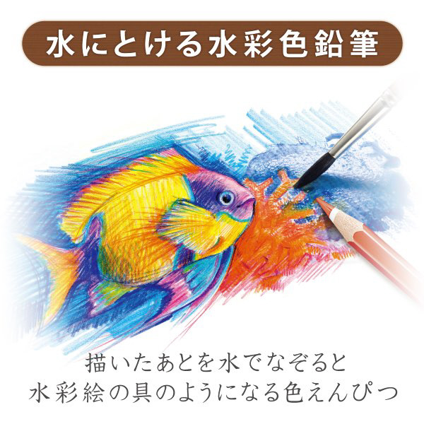 水彩色鉛筆 36色セット ノリスクラブ 144 10ND36P｜の通販はソフマップ
