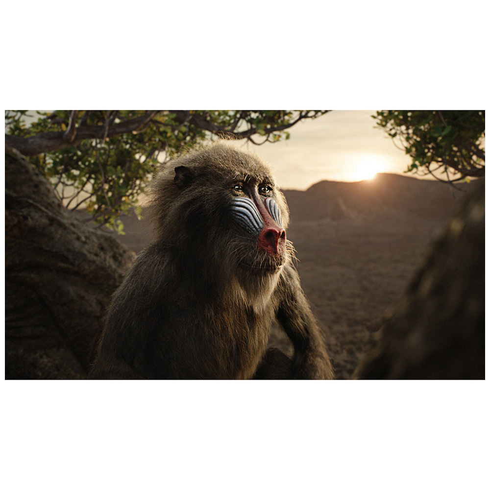 ライオン キング Movienex ブルーレイ Dvdセットコレクション の通販はソフマップ Sofmap